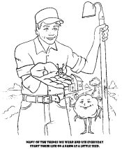 cotton coloring pages