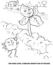 cotton coloring pages