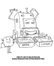 cotton coloring pages