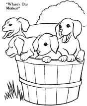 farm coloring page